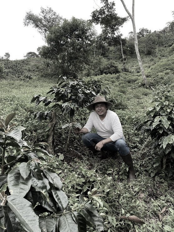 Mario Andrade | Red Bourbon Washed - Image 3